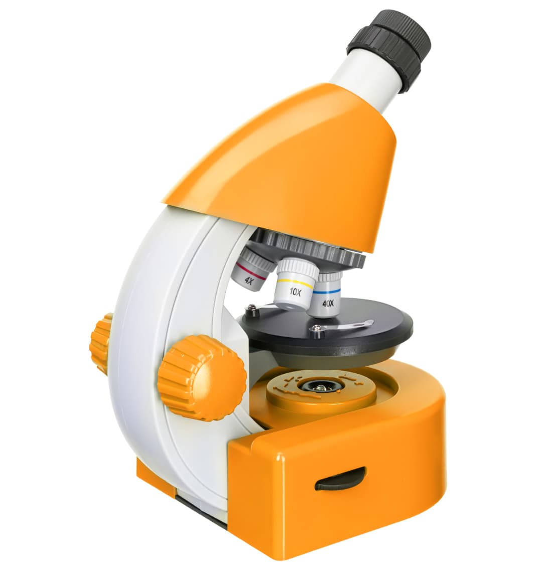 Микроскоп Levenhuk Discovery Micro Solar с книгой