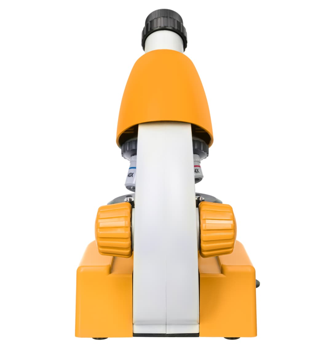 Микроскоп Levenhuk Discovery Micro Solar с книгой