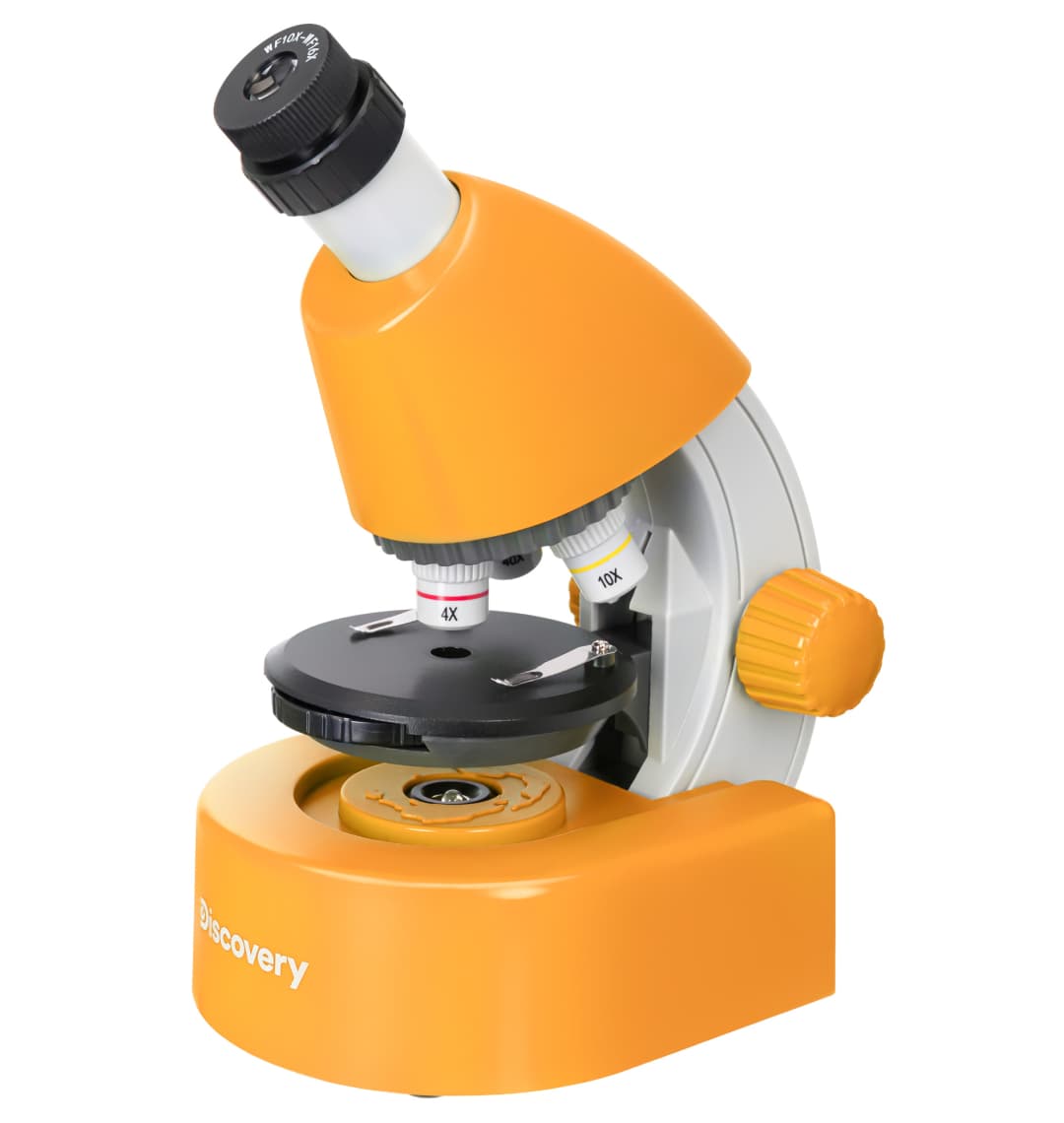 Микроскоп Levenhuk Discovery Micro Solar с книгой