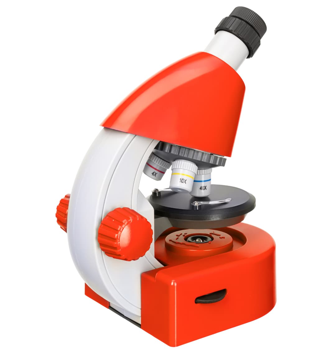 Микроскоп Levenhuk Discovery Micro Terra с книгой
