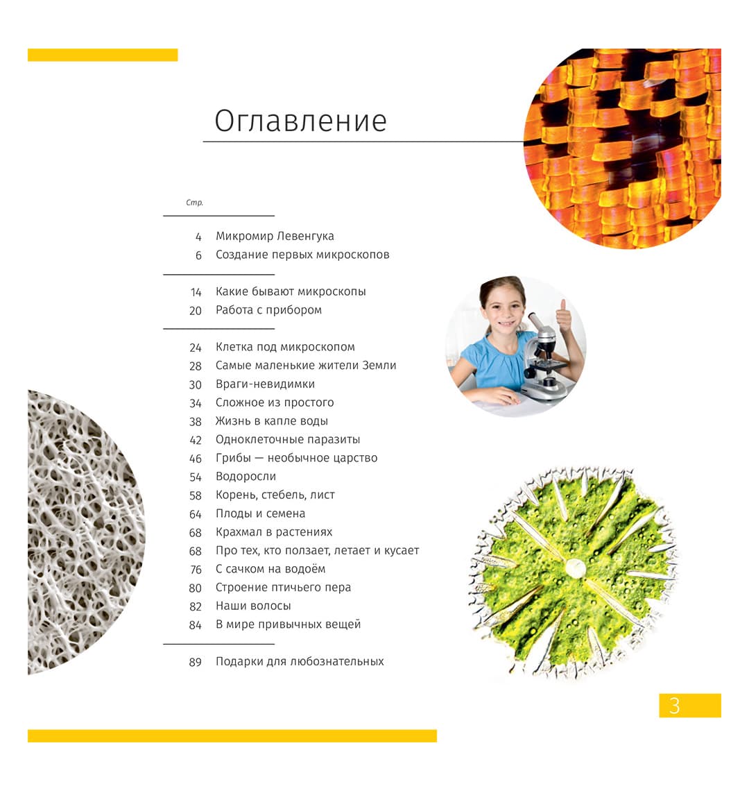 Микроскоп Levenhuk Discovery Nano Gravity с книгой