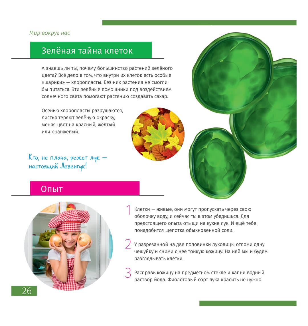 Микроскоп Levenhuk Discovery Nano Gravity с книгой