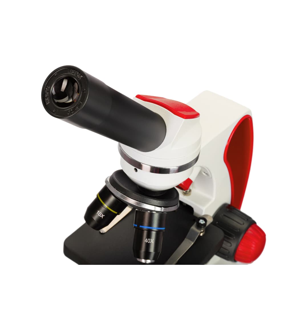 Микроскоп Levenhuk Discovery Pico Terra с книгой