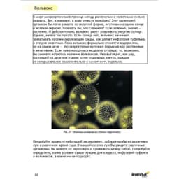 Набор для опытов Levenhuk K50