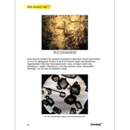 Набор для опытов Levenhuk K50