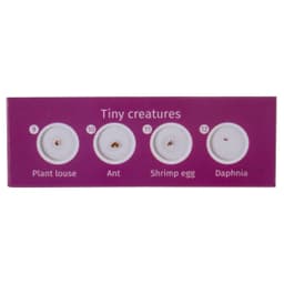 Набор микропрепаратов Levenhuk LabZZ C12, существа