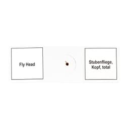 Набор микропрепаратов Bresser 10 шт., в кейсе