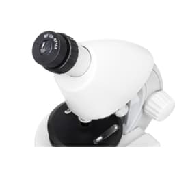 Микроскоп Levenhuk Discovery Micro Polar с книгой