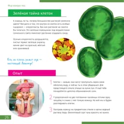 Микроскоп Levenhuk Discovery Pico Terra с книгой