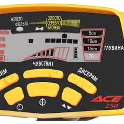 Грунтовый металлодетектор Garrett ACE 250 RUS