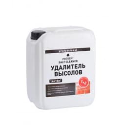 Удалитель высолов 021-5 PROSEPT SALT CLEANER концентрат 1:2, 5 л.