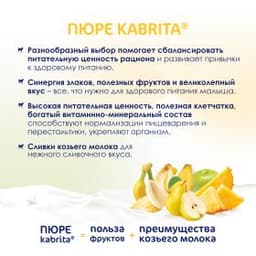 Kabrita® Фруктовое пюре со сливками козьего молока «Фруктовый смузи» с 6 месяцев, 100 г
