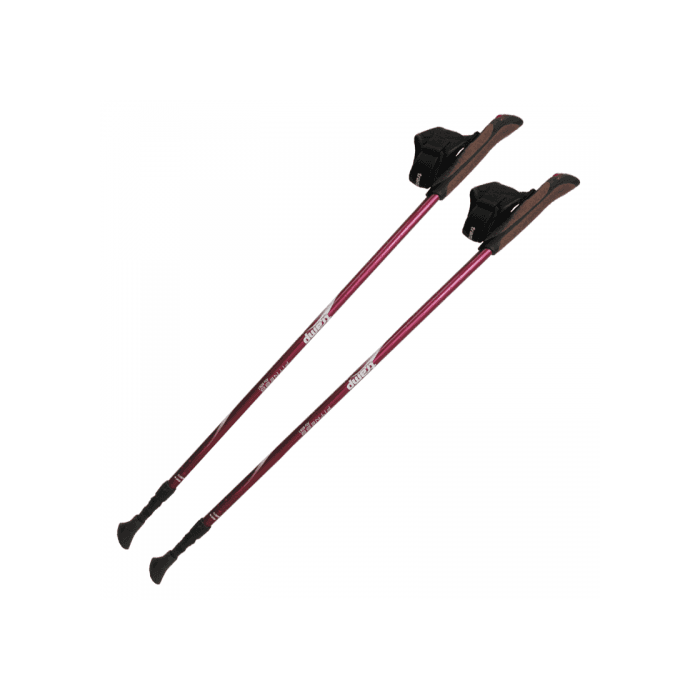 Палки для скандинавской ходьбы Fitness TRR-011