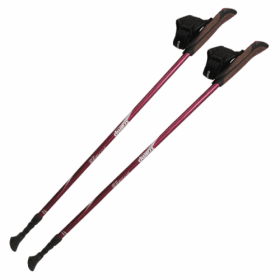 Палки для скандинавской ходьбы Fitness TRR-011