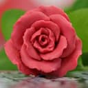 Мыло сувенирное "Роза"