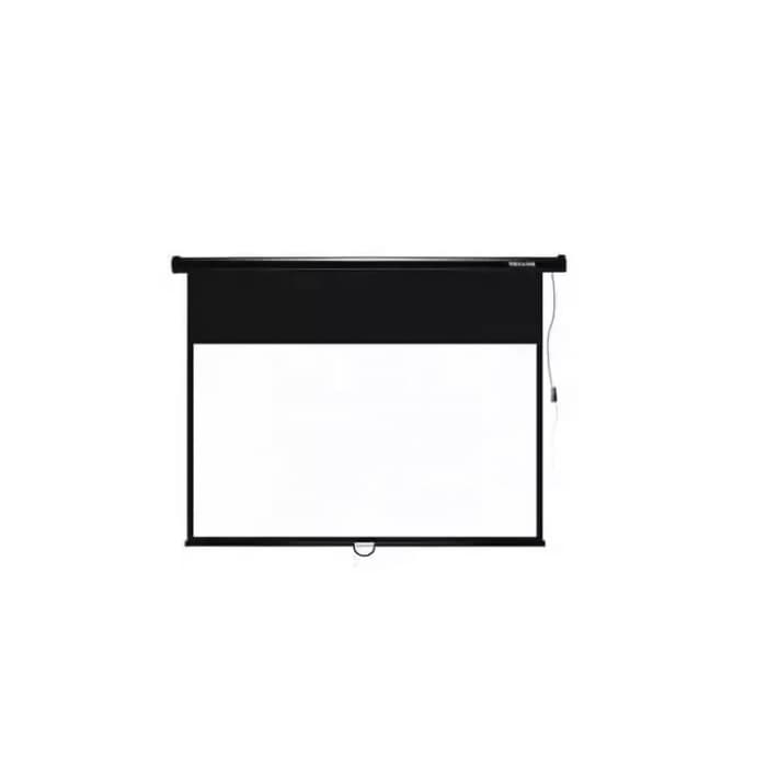 Экран моторизированный Deluxe DLS-ERC274x206W Настенный/потолочный, Рабочая поверхность 266x198 см., 4:3, Matt white, белый