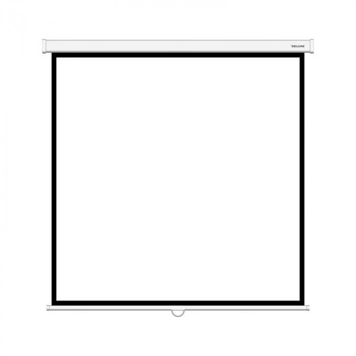 Экран механический Deluxe DLS-M244W, Настенный/потолочный, Рабочая поверхность 236х236 см., 1:1, Matt white, белый