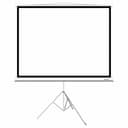 Экран на треноге Deluxe DLS-T203x154W, Рабочая поверхность 195х145 см., 4:3, Matt white, белый