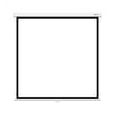 Экран механический Deluxe DLS-M244W, Настенный/потолочный, Рабочая поверхность 236х236 см., 1:1, Matt white, белый