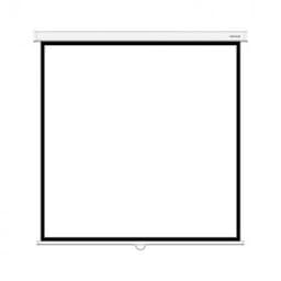 Экран механический Deluxe DLS-M244W, Настенный/потолочный, Рабочая поверхность 236х236 см., 1:1, Matt white, белый
