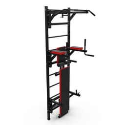 Шведская стенка с опциями DFC D-12345