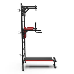 Шведская стенка с опциями DFC D-1235