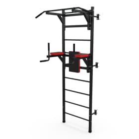 Шведская стенка + турник + брусья DFC D-123