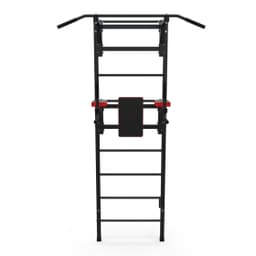 Шведская стенка + турник + брусья DFC D-123