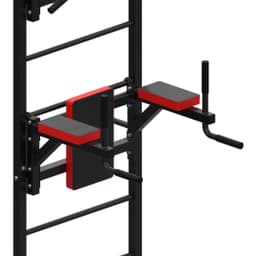 Шведская стенка + турник + брусья DFC D-123