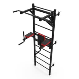 Шведская стенка + турник + брусья DFC D-123