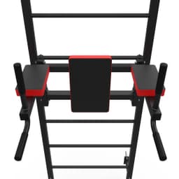 Шведская стенка + турник + брусья DFC D-123