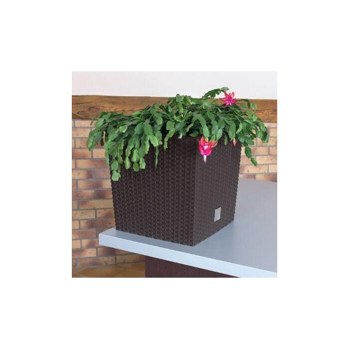 Кашпо для цветов RATO LOW DRTS265L-440U венге 2 предмета 11 и 15.8л