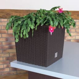 Кашпо для цветов RATO LOW DRTS265L-440U венге 2 предмета 11 и 15.8л