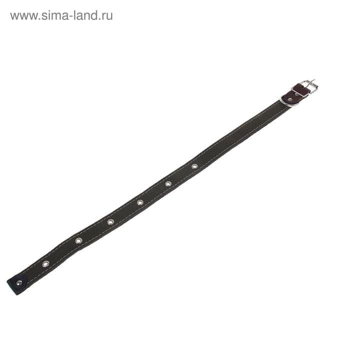 Ошейник брезентовый на фетре, 62×2.5 см, ОШ 30-55 см, тёмно-зелёный
