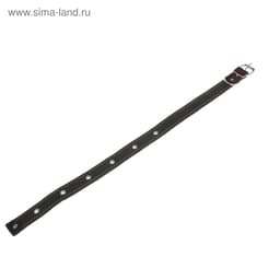 Ошейник брезентовый на фетре, 62×2.5 см, ОШ 30-55 см, тёмно-зелёный