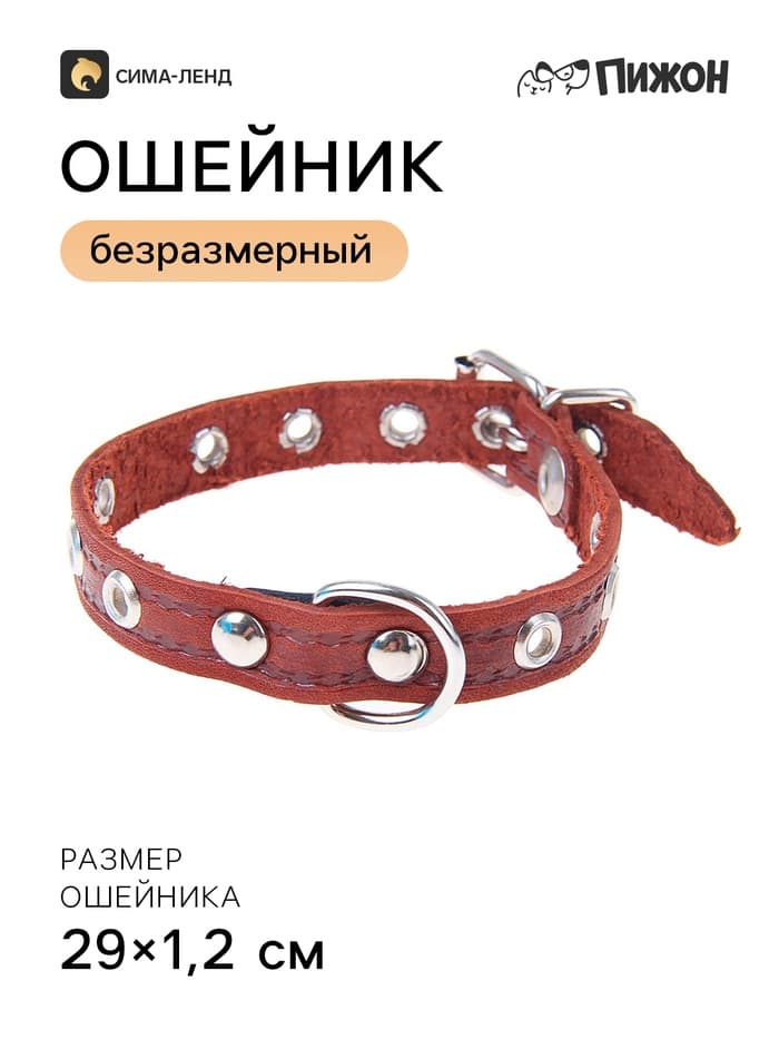 Ошейник кожаный тисненый однослойный, 29×1.2 см, безразмерный, микс цветов