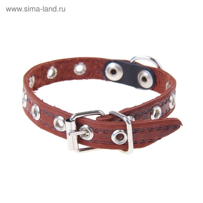 Ошейник кожаный тисненый однослойный, 29×1.2 см, безразмерный, микс цветов