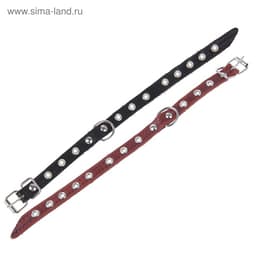 Ошейник кожаный тисненый однослойный, 29×1.2 см, безразмерный, микс цветов