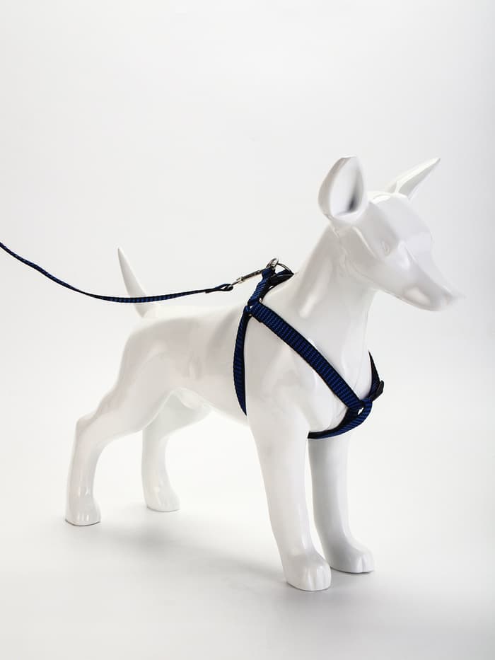 Шлейка с поводком, ОГ 36-49 см, ширина 1.5 см, поводок 120 см, рельефная, сине-чёрная