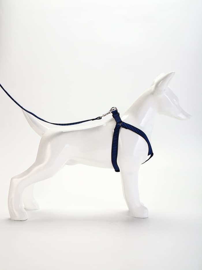 Шлейка с поводком, ОГ 36-49 см, ширина 1.5 см, поводок 120 см, рельефная, сине-чёрная