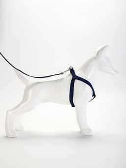 Шлейка с поводком, ОГ 36-49 см, ширина 1.5 см, поводок 120 см, рельефная, сине-чёрная