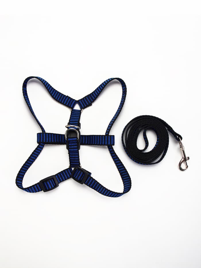 Шлейка с поводком, ОГ 36-49 см, ширина 1.5 см, поводок 120 см, рельефная, сине-чёрная