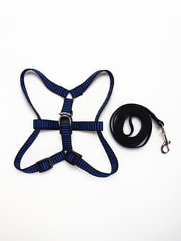 Шлейка с поводком, ОГ 36-49 см, ширина 1.5 см, поводок 120 см, рельефная, сине-чёрная