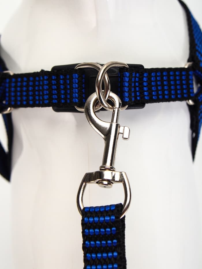 Шлейка с поводком, ОГ 36-49 см, ширина 1.5 см, поводок 120 см, рельефная, сине-чёрная
