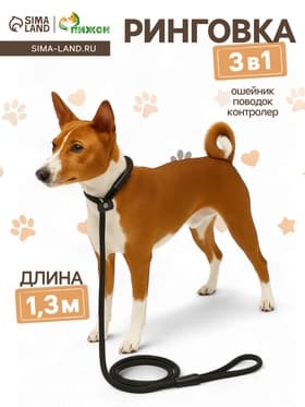 Ринговка для собак, 130×0.8 см, чёрная