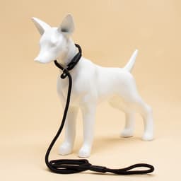 Ринговка для собак, 130×0.8 см, чёрная