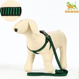Шлейка с поводком, шлейка 36-49 см, ширина 1.5 см, поводок 120 см, рельефная, зелёная, чёрная