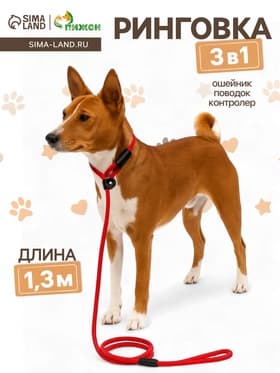 Ринговка для собак, 130×0.8 см, красная