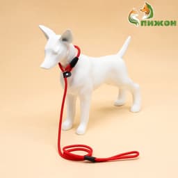 Ринговка для собак, 130×0.8 см, красная