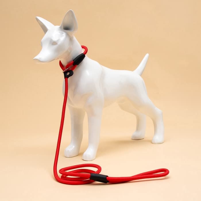 Ринговка для собак, 130×0.8 см, красная